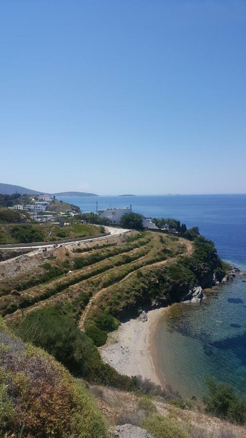 Linaria Bay Apartment Luaran gambar